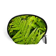 Fern Nature Green Plant Accessory Pouches (small)  by Nexatart