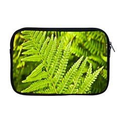 Fern Nature Green Plant Apple Macbook Pro 17  Zipper Case by Nexatart