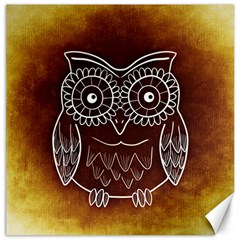 Owl Abstract Funny Pattern Canvas 12  X 12   by Nexatart