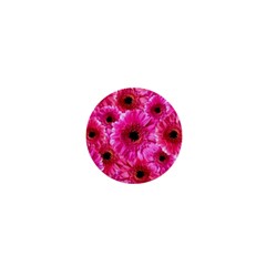 Gerbera Flower Nature Pink Blosso 1  Mini Magnets