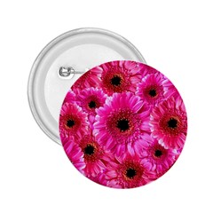 Gerbera Flower Nature Pink Blosso 2 25  Buttons