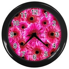 Gerbera Flower Nature Pink Blosso Wall Clocks (black) by Nexatart