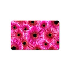 Gerbera Flower Nature Pink Blosso Magnet (name Card) by Nexatart