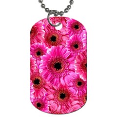 Gerbera Flower Nature Pink Blosso Dog Tag (two Sides) by Nexatart