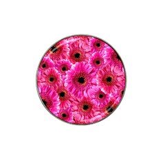 Gerbera Flower Nature Pink Blosso Hat Clip Ball Marker