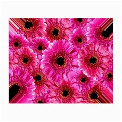 Gerbera Flower Nature Pink Blosso Small Glasses Cloth