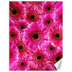 Gerbera Flower Nature Pink Blosso Canvas 12  X 16   by Nexatart