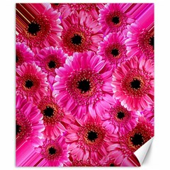 Gerbera Flower Nature Pink Blosso Canvas 20  X 24   by Nexatart