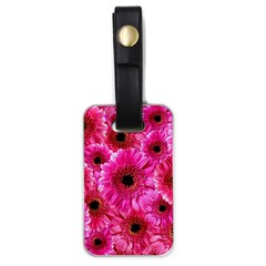 Gerbera Flower Nature Pink Blosso Luggage Tags (one Side) 