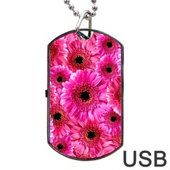 Gerbera Flower Nature Pink Blosso Dog Tag Usb Flash (one Side) by Nexatart