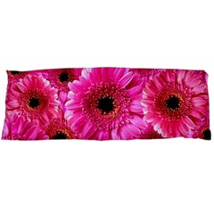 Gerbera Flower Nature Pink Blosso Body Pillow Case (dakimakura)