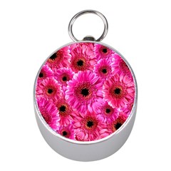 Gerbera Flower Nature Pink Blosso Mini Silver Compasses by Nexatart