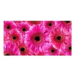 Gerbera Flower Nature Pink Blosso Satin Shawl by Nexatart