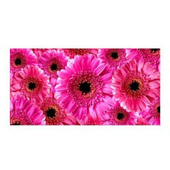 Gerbera Flower Nature Pink Blosso Satin Wrap by Nexatart