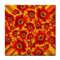 Gerbera Flowers Blossom Bloom Tile Coasters by Nexatart