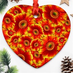 Gerbera Flowers Blossom Bloom Ornament (heart) by Nexatart