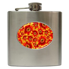 Gerbera Flowers Blossom Bloom Hip Flask (6 Oz) by Nexatart