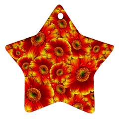 Gerbera Flowers Blossom Bloom Star Ornament (two Sides)