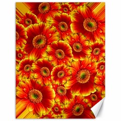 Gerbera Flowers Blossom Bloom Canvas 18  X 24   by Nexatart