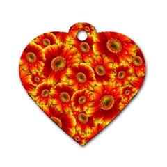 Gerbera Flowers Blossom Bloom Dog Tag Heart (two Sides) by Nexatart