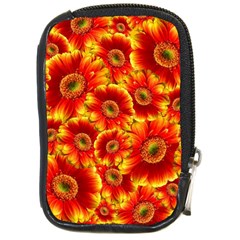 Gerbera Flowers Blossom Bloom Compact Camera Cases by Nexatart