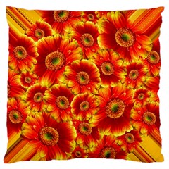 Gerbera Flowers Blossom Bloom Large Flano Cushion Case (two Sides) by Nexatart