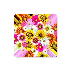 Flowers Blossom Bloom Nature Plant Square Magnet by Nexatart