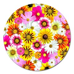 Flowers Blossom Bloom Nature Plant Magnet 5  (round) by Nexatart