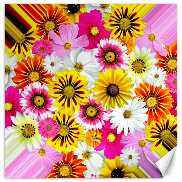 Flowers Blossom Bloom Nature Plant Canvas 20  x 20  