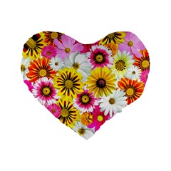 Flowers Blossom Bloom Nature Plant Standard 16  Premium Flano Heart Shape Cushions by Nexatart