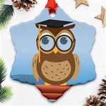 Read Owl Book Owl Glasses Read Snowflake Ornament (Two Sides) Front