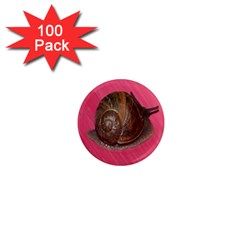 Snail Pink Background 1  Mini Magnets (100 Pack)  by Nexatart