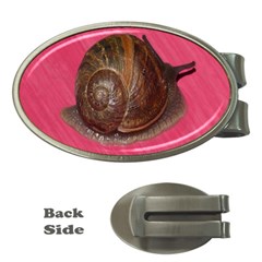 Snail Pink Background Money Clips (oval)  by Nexatart