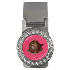 Snail Pink Background Money Clips (cz)  by Nexatart