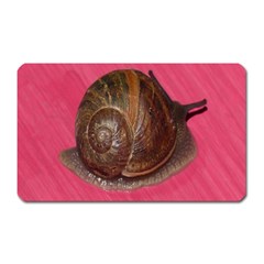 Snail Pink Background Magnet (rectangular) by Nexatart