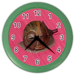 Snail Pink Background Color Wall Clocks by Nexatart