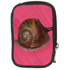 Snail Pink Background Compact Camera Cases by Nexatart