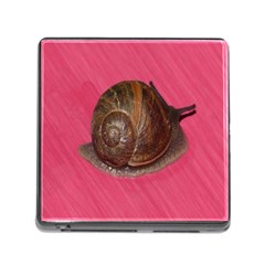 Snail Pink Background Memory Card Reader (square) by Nexatart