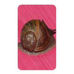 Snail Pink Background Memory Card Reader by Nexatart