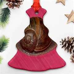 Snail Pink Background Ornament (christmas Tree)  by Nexatart