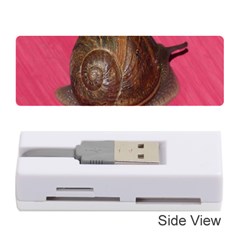 Snail Pink Background Memory Card Reader (stick)  by Nexatart