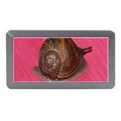 Snail Pink Background Memory Card Reader (mini) by Nexatart