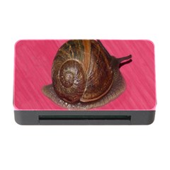 Snail Pink Background Memory Card Reader With Cf by Nexatart