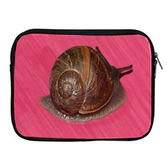 Snail Pink Background Apple Ipad 2/3/4 Zipper Cases by Nexatart