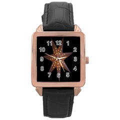 Star Light Decoration Atmosphere Rose Gold Leather Watch  by Nexatart