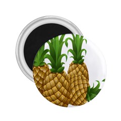 Pineapples Tropical Fruits Foods 2 25  Magnets by Nexatart