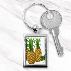 Pineapples Tropical Fruits Foods Key Chains (rectangle)  by Nexatart