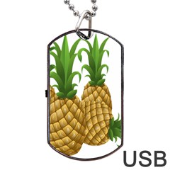 Pineapples Tropical Fruits Foods Dog Tag Usb Flash (two Sides) by Nexatart