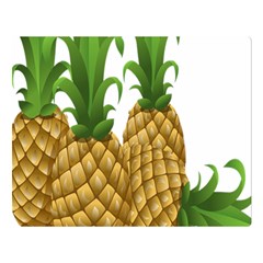 Pineapples Tropical Fruits Foods Double Sided Flano Blanket (large) 