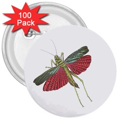 Grasshopper Insect Animal Isolated 3  Buttons (100 Pack)  by Nexatart